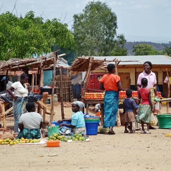 Research Findings Verification Workshop: Legal Frameworks for Refugees/Asylum Seekers and Children on the Move in Malawi
